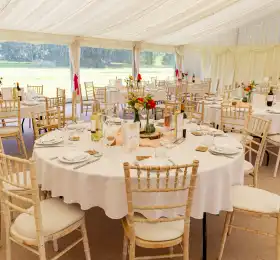 Click Here To View Larger Image